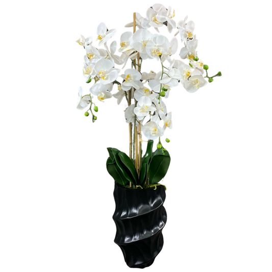 Luxury White Orchid in Swirl Vase